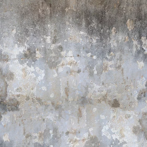 Clifford_TSM266077_141x106