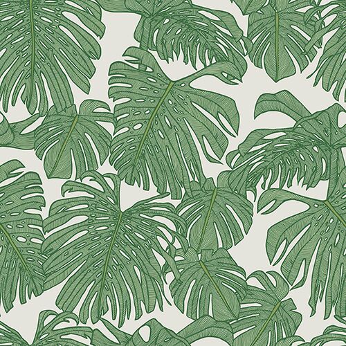 Deliciousness Amazon PBR 21533 Available Sizes: 47" x 47"