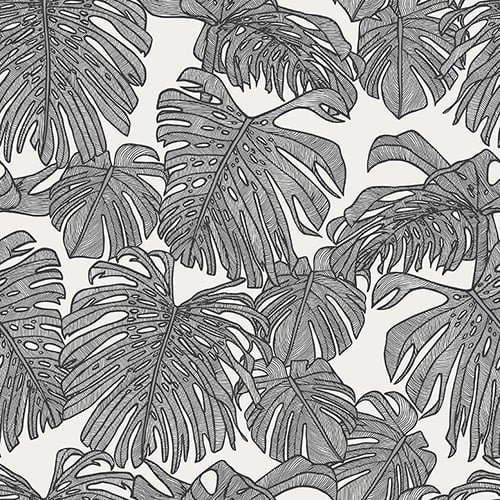 Deliciousness Mono PBR 21535 Available Sizes: 47" x 47"