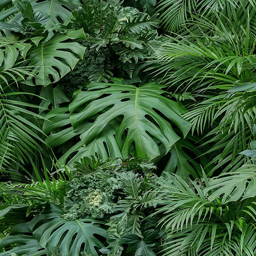 Vertical-Garden-Greenery-FMZ502104_47x23