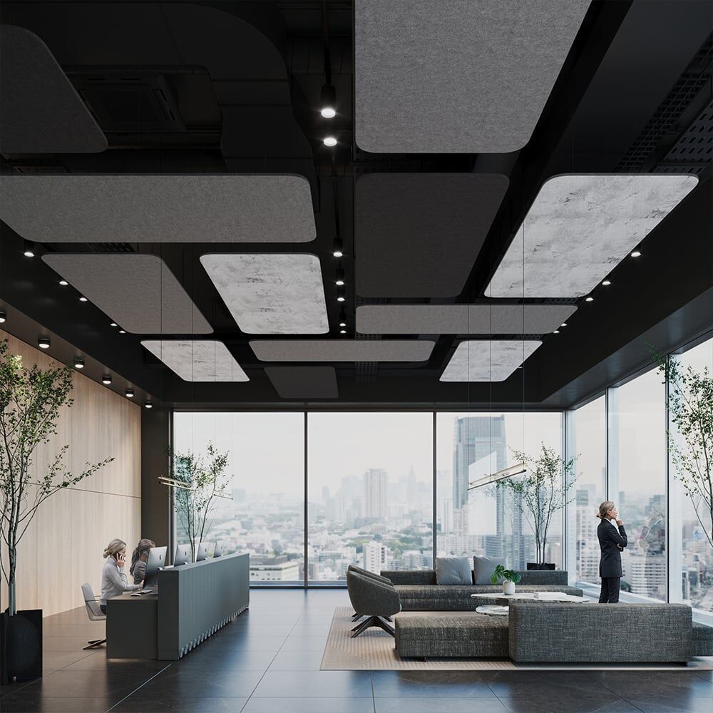 Veri | Suspended Ceiling | EzoBord